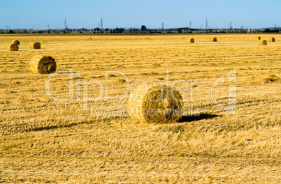 Farm field with hay bales