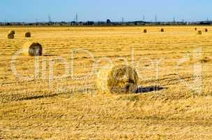 Farm field with hay bales