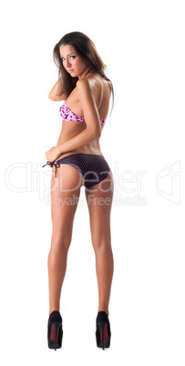 Sexy girl in bikini swimsuit isolated