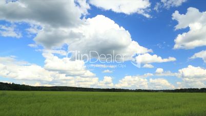 Summer field timelapse