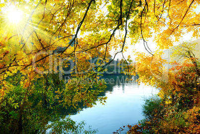 Herbstzauber am Fluss