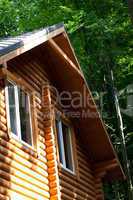 Summer wooden cottage in forest at sunny day