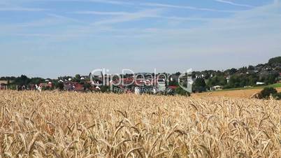 Blick über Weizenfeld auf Kleinstadt