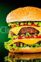 Tasty and appetizing hamburger on a darkly green