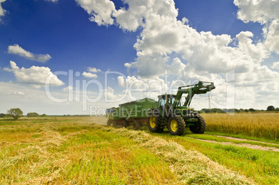 harvest time