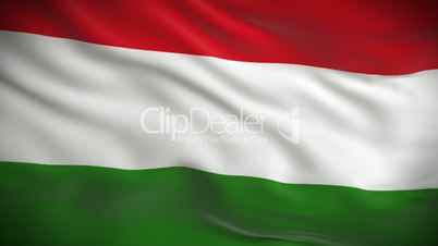 Highly detailed Hungarian flag ripples in the wind. Looped 3d animation for continuous playback.