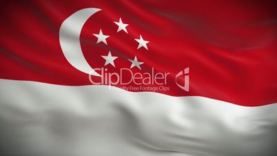 Highly detailed flag of Singapore ripples in the wind. Looped 3d animation for continuous playback.