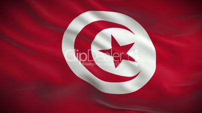 Highly detailed flag of Tunisia ripples in the wind. Looped 3d animation for continuous playback.