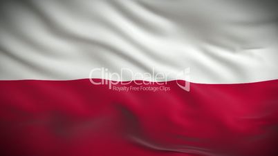Highly detailed flag of Poland ripples in the wind. Looped 3d animation for continuous playback.