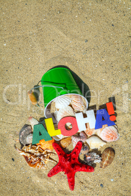 Word "Aloha" with starfish and shells background