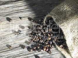 coffee beans on weathered wood