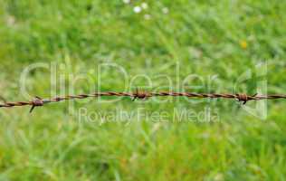 horizontal picture of barbed wire in meadow