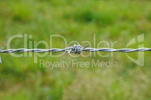 horizontal picture of barbed wire in meadow