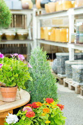 Potted flowers at garden centre green house