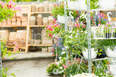 Hangup pots with flowers in garden center