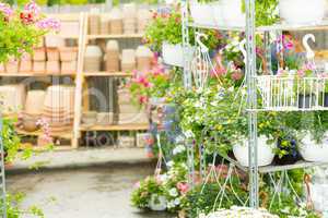 Hangup pots with flowers in garden center