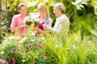 Close-up of garden plants at green house