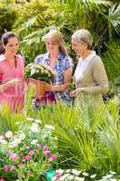 Three women shopping flowers at green house
