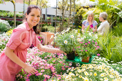 Florist arranging flower pots in garden store