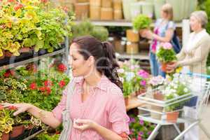 Woman choose potted flower in garden store