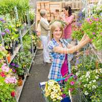 Woman shopping for flowers in garden shop