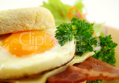 Bacon And Egg Muffin