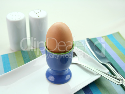 Uncracked Boiled Egg