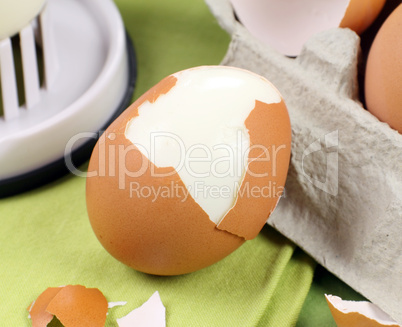 Simple Cracked Egg