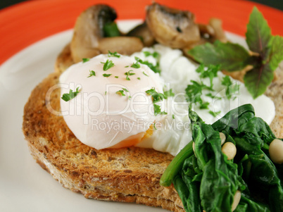 Poached Egg Breakfast 2