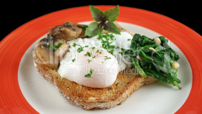 Poached Egg Breakfast