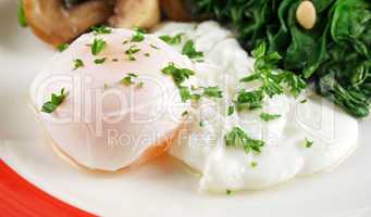 Poached Egg Breakfast