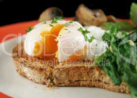 Sliced Poached Egg