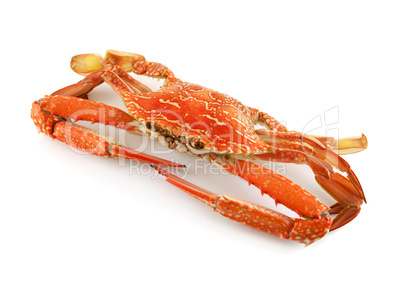 Cooked Sand Crab