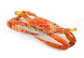 Cooked Sand Crab