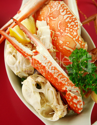 Fresh Cracked Sand Crab