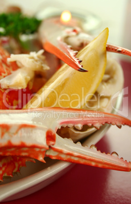 Cracked Sand Crab