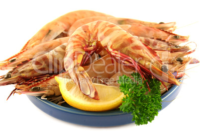 Fresh Green Tiger Prawns