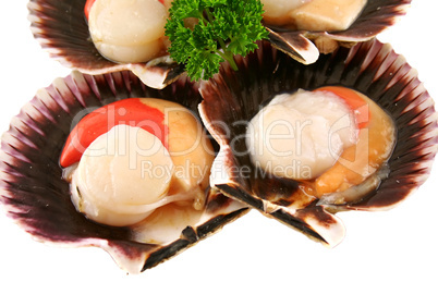 Fresh Scallops