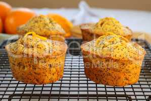Orange And Poppyseed Cakes