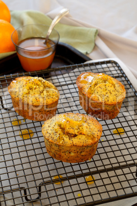 Orange And Poppy Seed Cakes