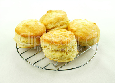 Fresh Baked Scones