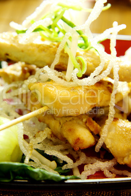 Asian Chicken Skewers