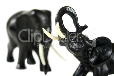 Black Elephants 2