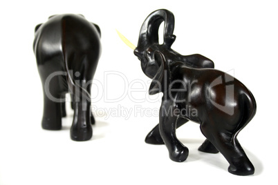 Black Elephants 3