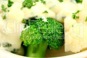 Broccoli With White Sauce