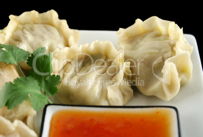 Chinese Dumplings 4