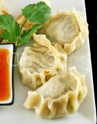 Chinese Dumplings 7