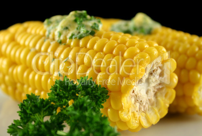 Fresh Corn 4