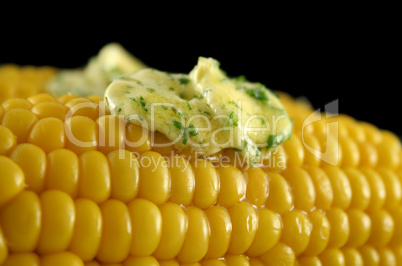 Fresh Corn 5
