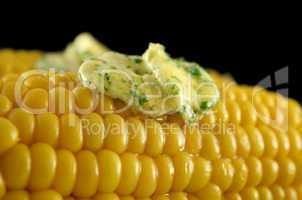Fresh Corn 5